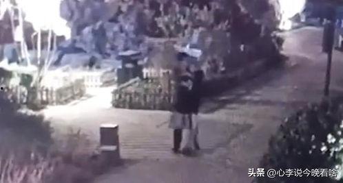 马村吃瓜视频,揭秘网络红人的幕后故事