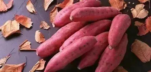 吃土瓜的作用,神奇功效与养生之道揭秘