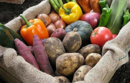 美国osu吃瓜,揭秘“吃瓜”背后的故事