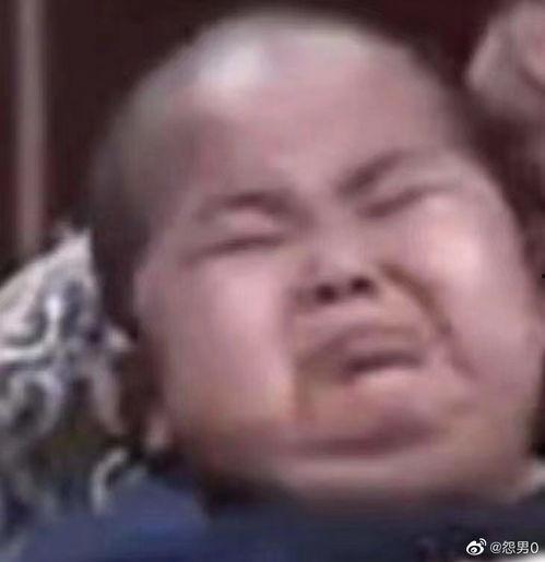 严肃吃瓜社,揭秘娱乐圈背后的真相与内幕