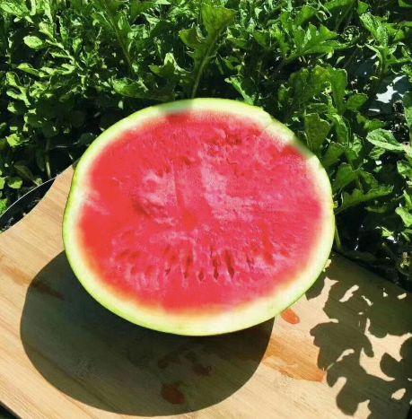 寻寻吃瓜,揭秘娱乐圈那些不为人知的幕后故事