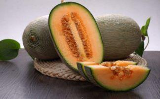 美女吃哈密瓜吗,甜蜜邂逅，尽享夏日清新