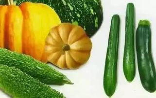 逆风吃瓜,逆境中的生活智慧与成长