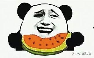 吃瓜的v v,网络热词背后的文化现象