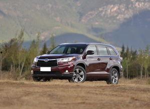 汉兰达吃瓜,揭秘娱乐圈的“瓜田”风云