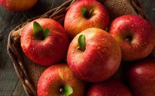 吃苹果加吃瓜的文案,夏日清爽新体验