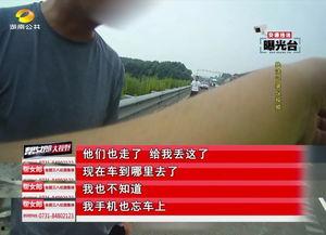 理性吃瓜的启示,揭秘网络舆论背后的真相