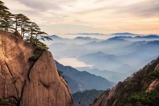 吃瓜黄山,一场吃瓜之旅的味蕾盛宴