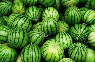 分享吃瓜的群,揭秘分享吃瓜群的欢乐时光