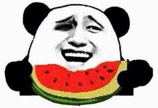 吃瓜群众演员在吃瓜,吃瓜群众演员的瓜田奇遇记