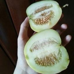 孕晚期吃甜瓜哈密瓜,甜瓜与哈密瓜的营养益处与食用建议