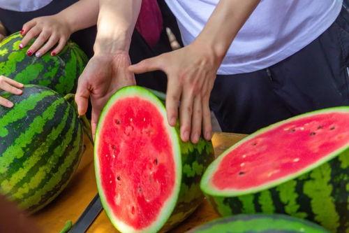 燕山学校qq吃瓜,揭秘校园社交背后的风波