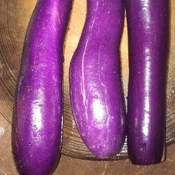 皮肌炎可以吃茄瓜吗,茄瓜可否食用？