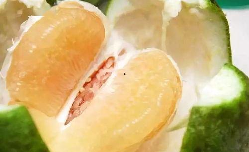 琉璃真吃瓜,揭秘娱乐圈的瓜田秘闻