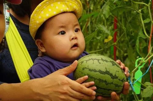 谈黄吃瓜群,揭秘网络社交圈的另类现象