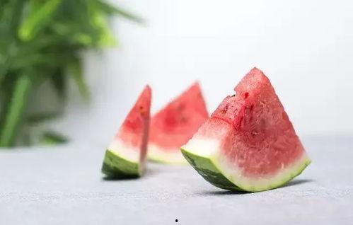 梦到煮小瓜吃,煮小瓜的奇幻之旅