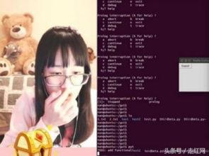 吃瓜萌主直播,揭秘娱乐圈幕后故事