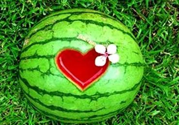 梦见给瓜吃,揭秘瓜吃梦境的深层寓意