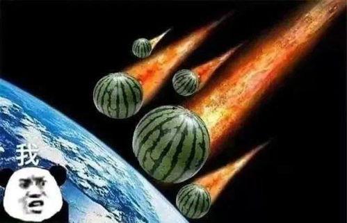 沉浸的吃瓜,品味生活百态