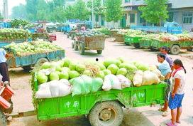 吃瓜渠道,吃瓜群众带你领略幕后风云