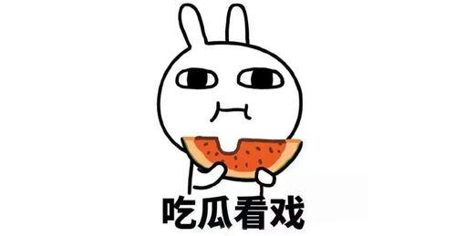 吃瓜总群的密码,密码背后的秘密世界